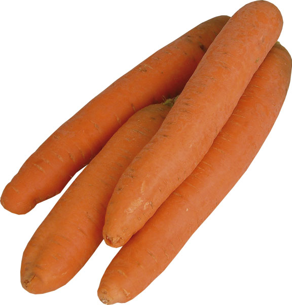 carrots.jpg