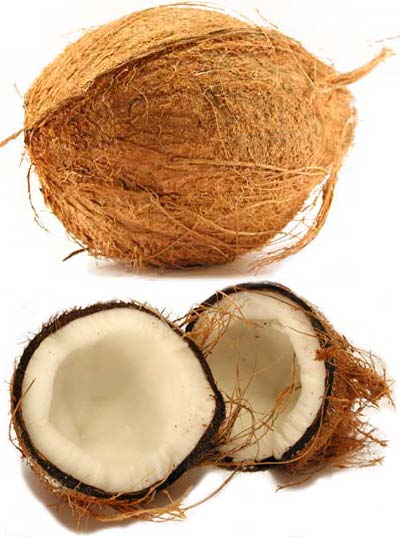 coconut.jpg