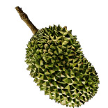 durian.jpg