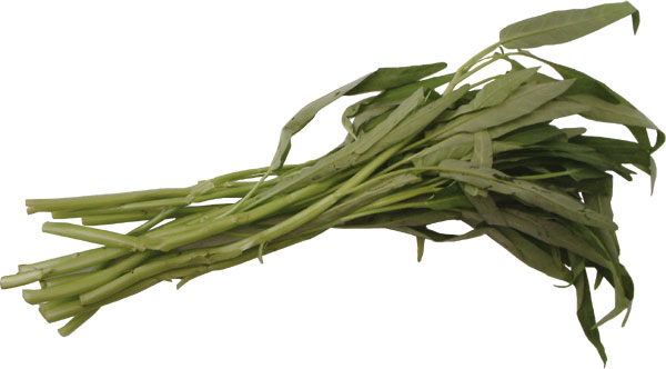 thai-kangkung.jpg